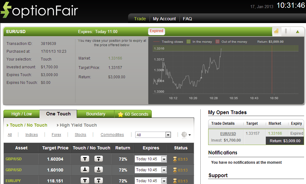 Successful Trade on Jan 17, 2013 EURUSD